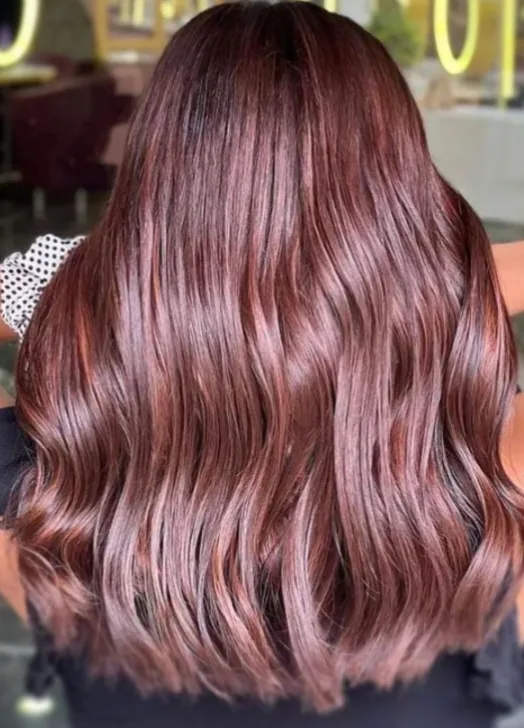 Levels Hair Studio(Unisex Salon)