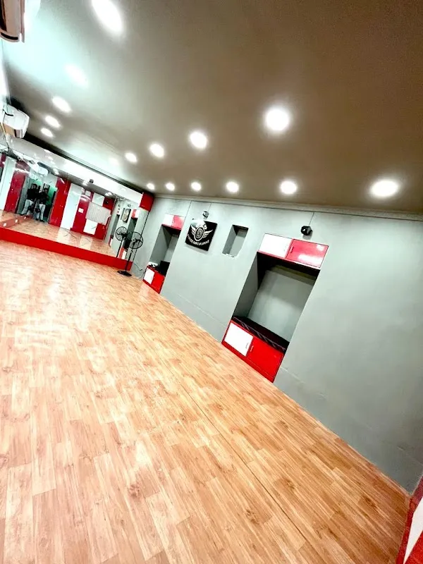 Dhanraj Dance Academy