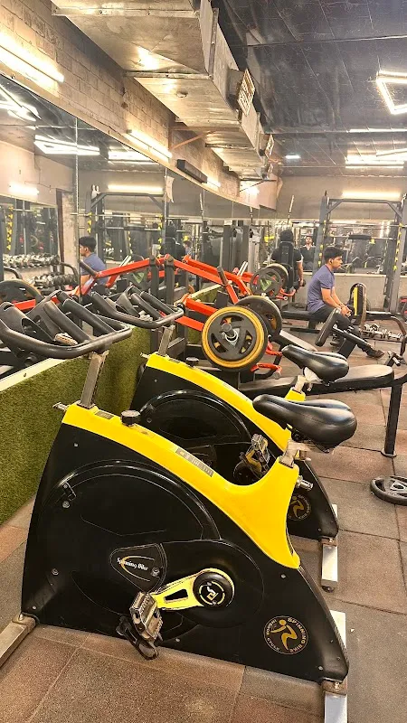 Bs Fitness Gym