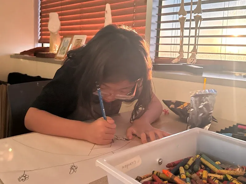 Stray Point Art Academy