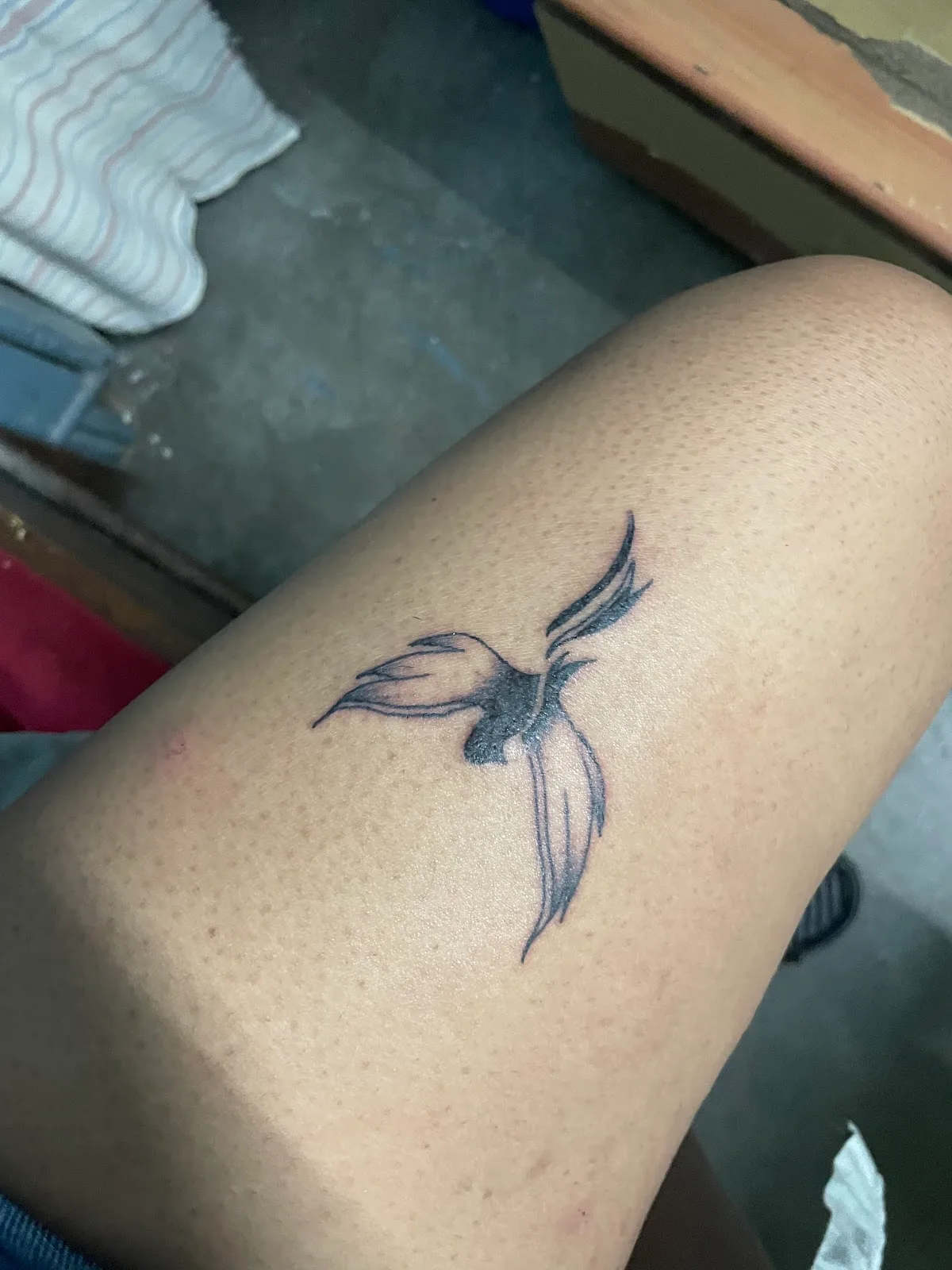 Sam's Studio by inking Sam