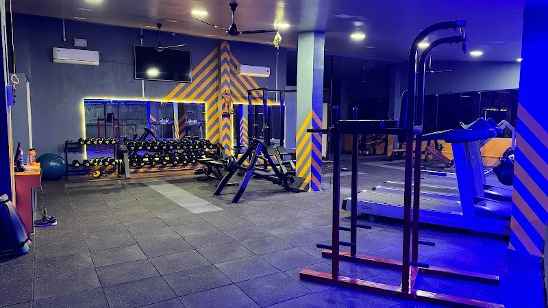 The Flex Fitness