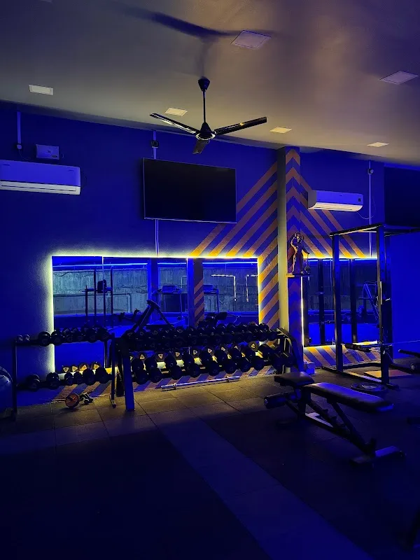 The Flex Fitness