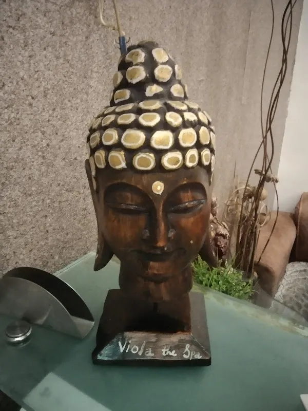 Viola The Spa Sanpada - Vashi Spa