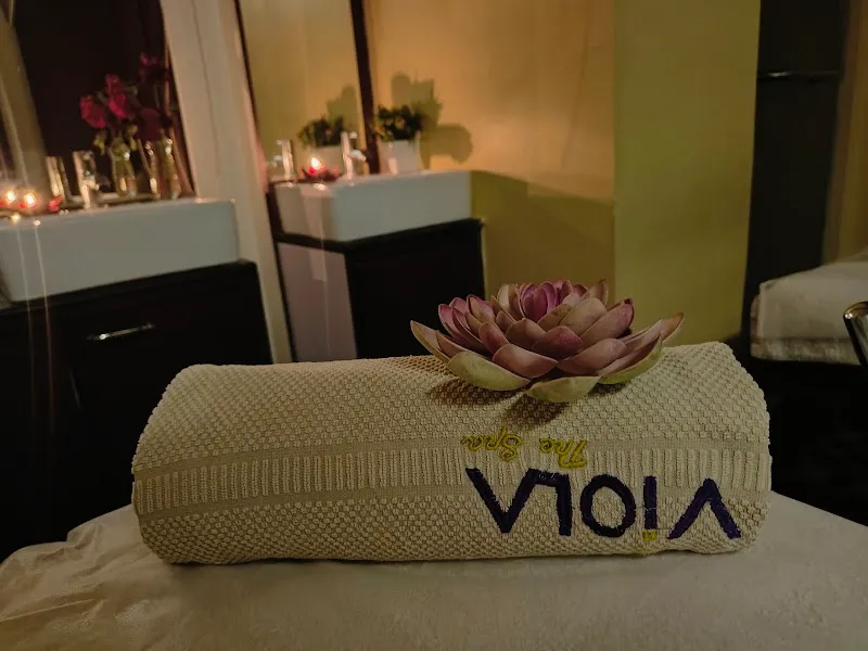 Viola The Spa Sanpada - Vashi Spa