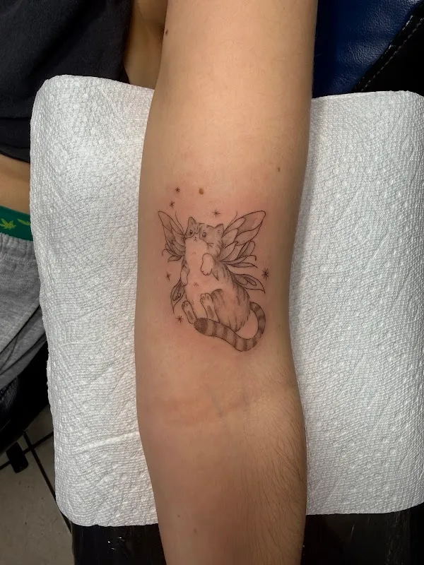 Pensacola Tattoo Studio