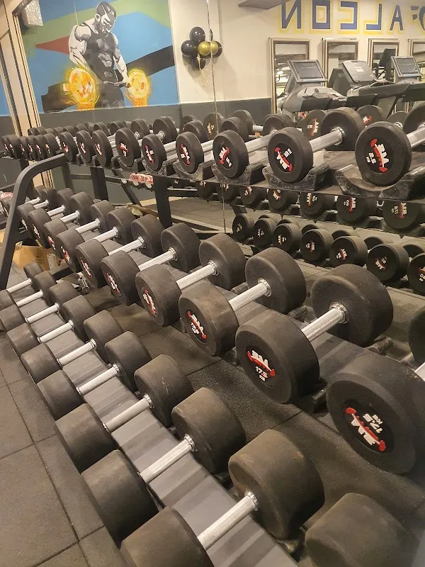 Falcon Fitness Arena