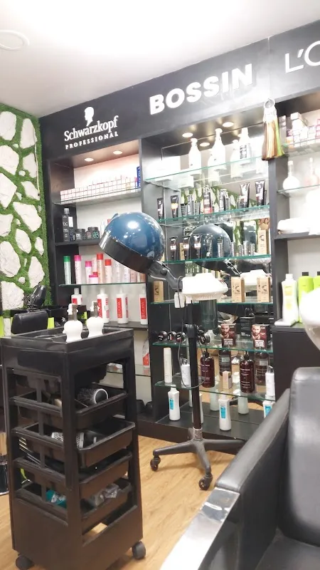 BOSSIN Unisex Salon & Academy