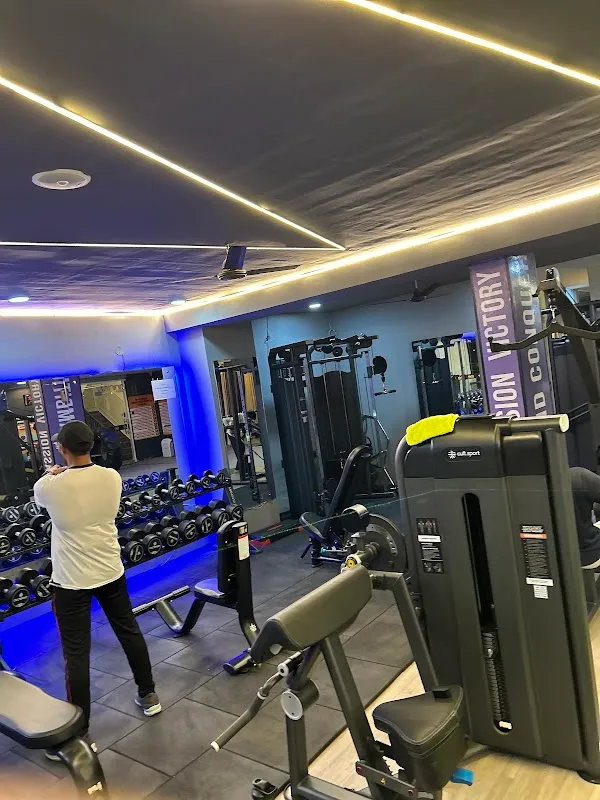 VIBES FITNESS GYM powered by cult.sport