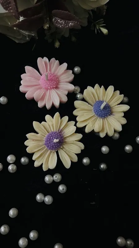 Eleganto Art and Craft