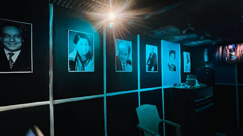 SwarON Studio