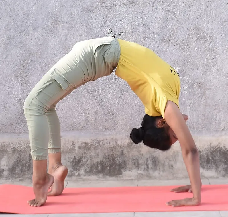 Leaf Home Yoga Classes
