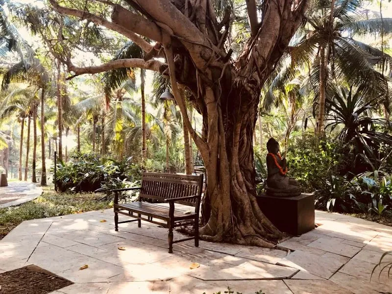 Inspired Yoga Travels