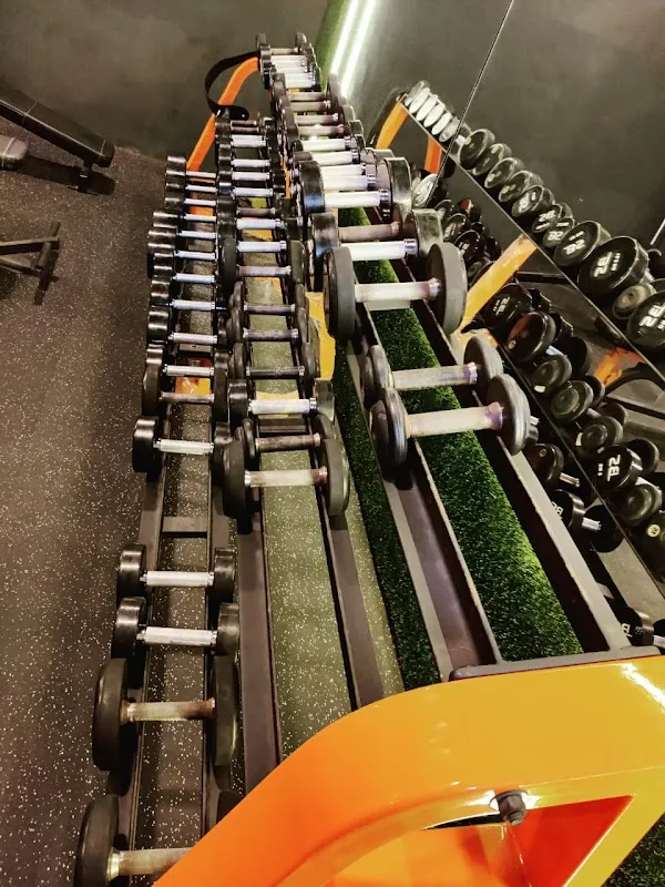 MuscleBro Fitness Club