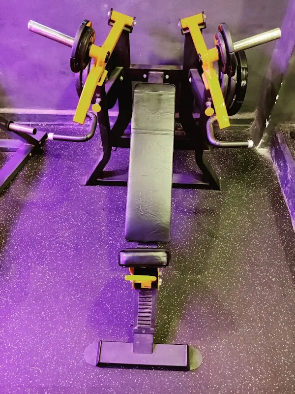 MuscleBro Fitness Club