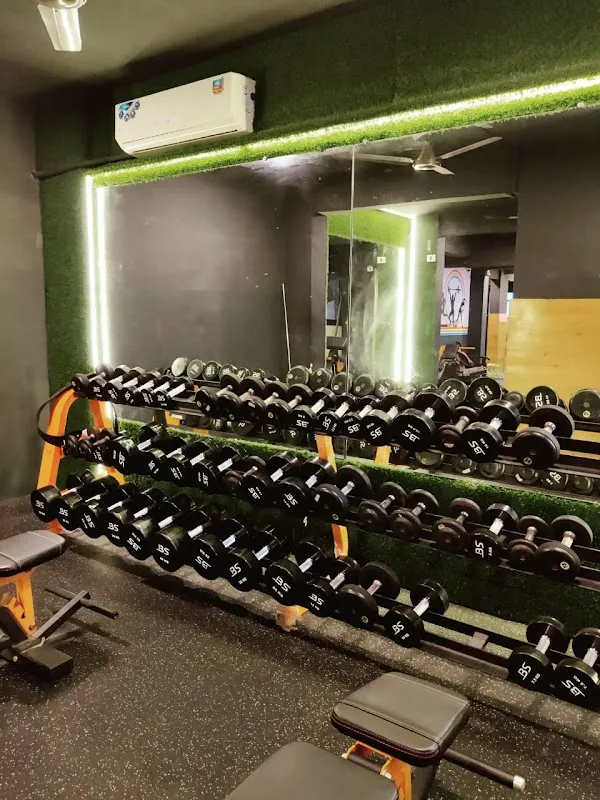 MuscleBro Fitness Club