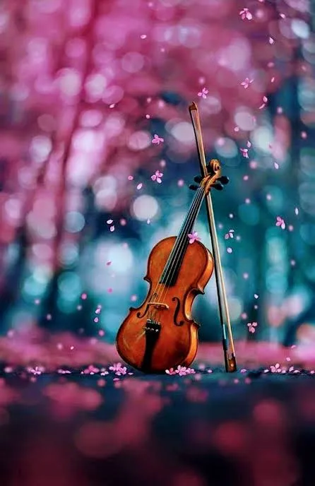 VIJAY MUSICAL DANCE ACADEMY