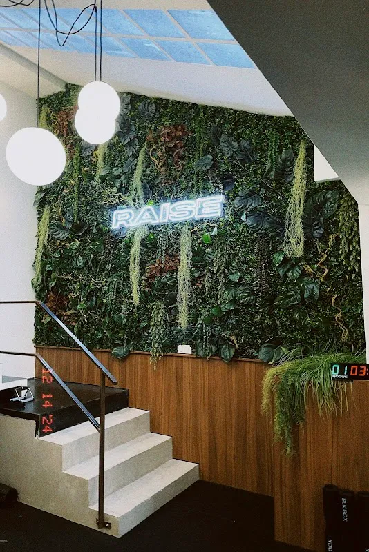 Raise Studio