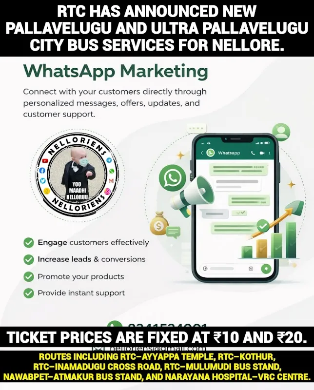 Nelloriens – Digital & Social Media Marketing Solutions & Company