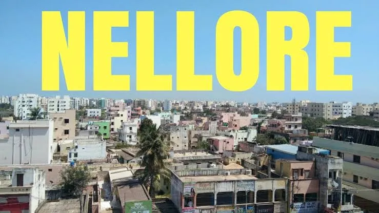 Nelloriens – Digital & Social Media Marketing Solutions & Company