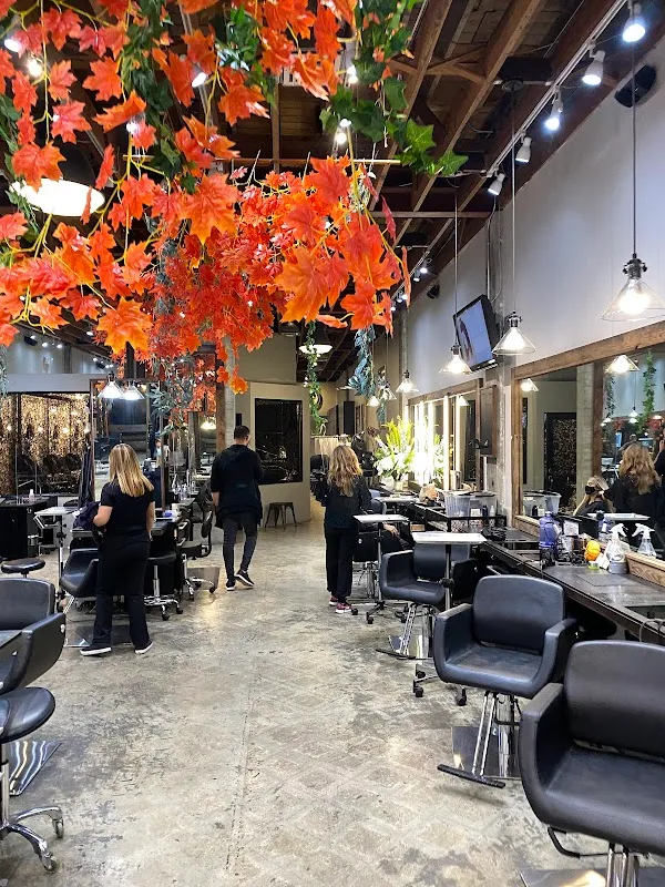 Avant-Garde Salon & Spa