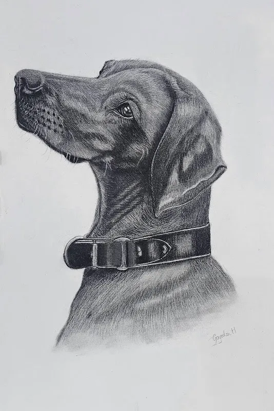Mamta's Art