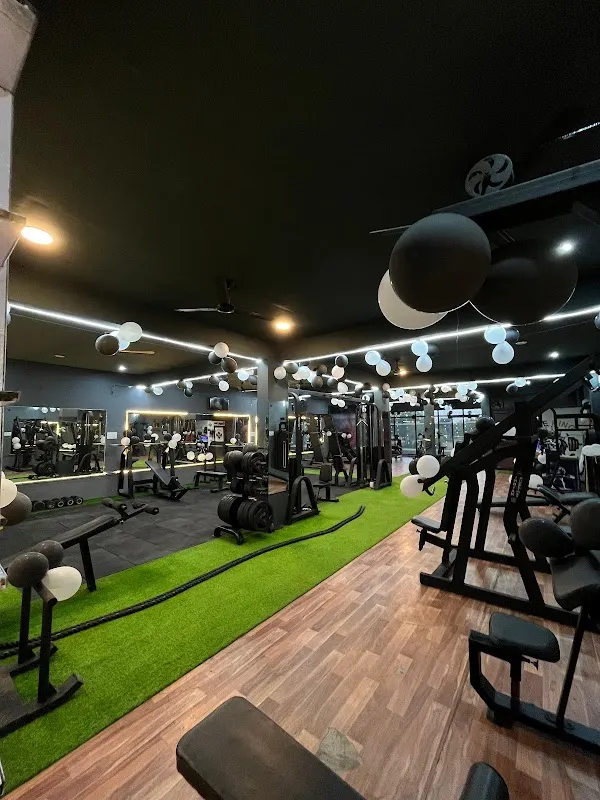 The King Fitness Club Gym 2.0