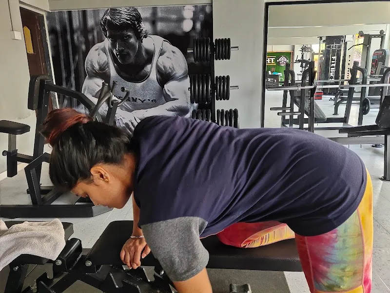 The Gym House Of Gains
