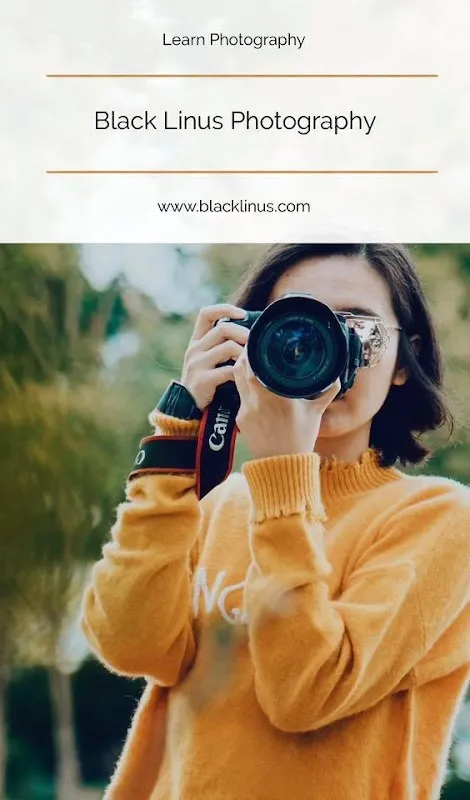 Black Linus Studios International LLP