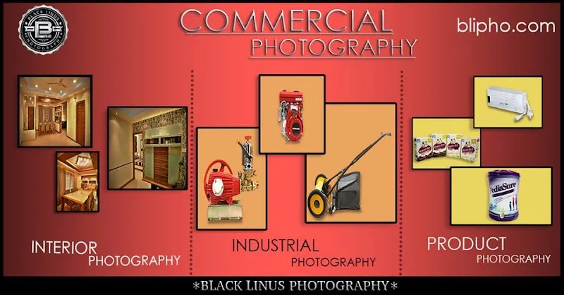Black Linus Studios International LLP