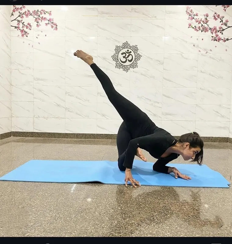 YOGA SUTRA