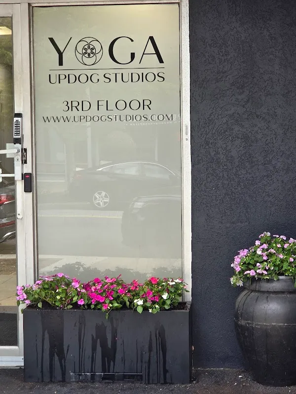 Updog Studios