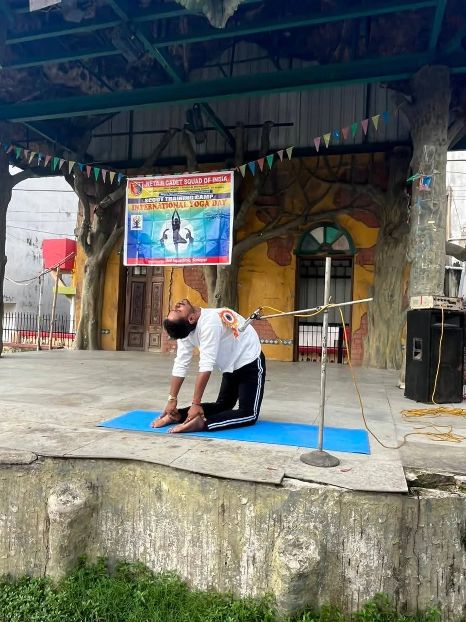Eklavya yoga exercise institute.(Unit of Health is wealthyoga center