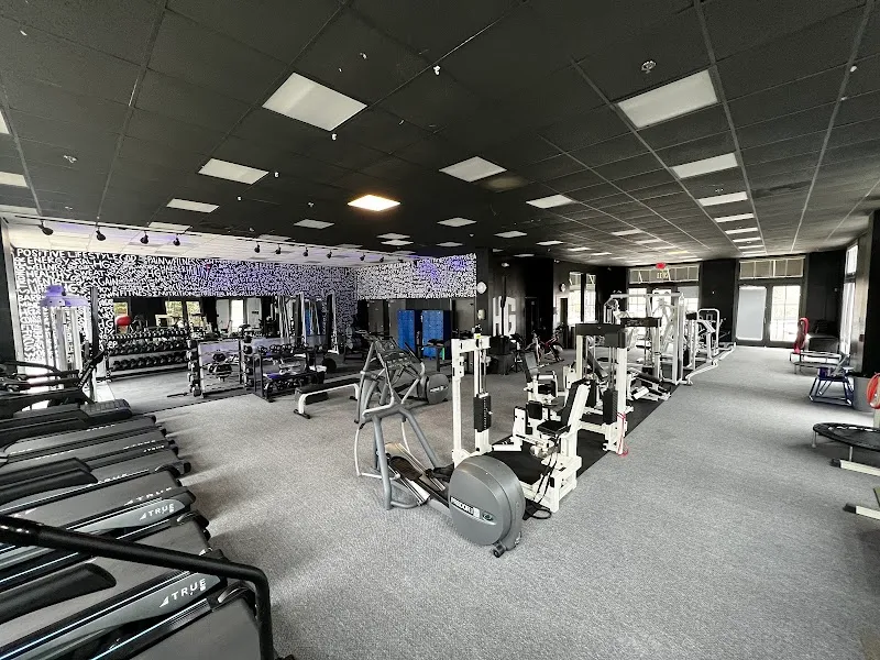 The Hidden Gym