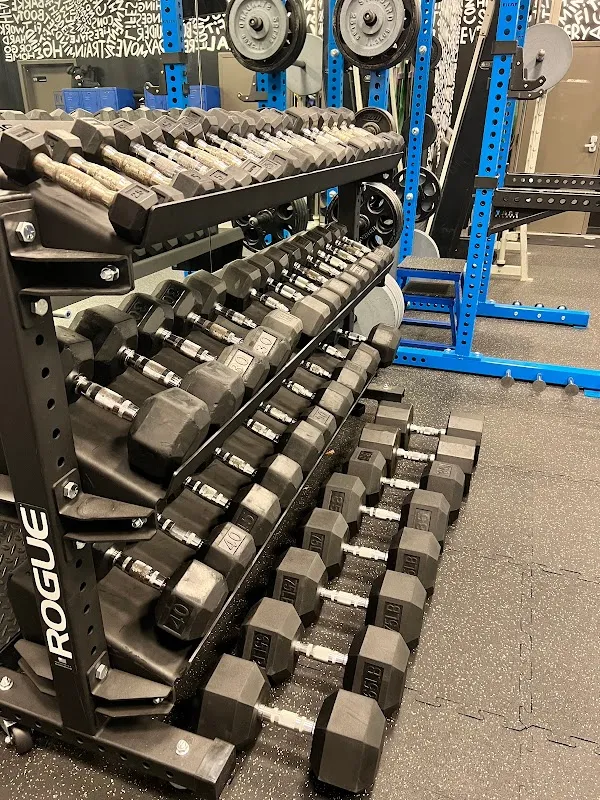 The Hidden Gym