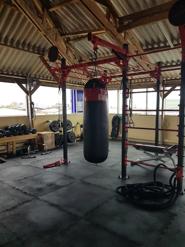 Wellness Fitness Club