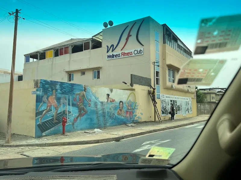 Wellness Fitness Club