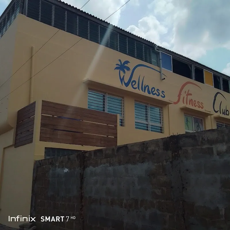 Wellness Fitness Club