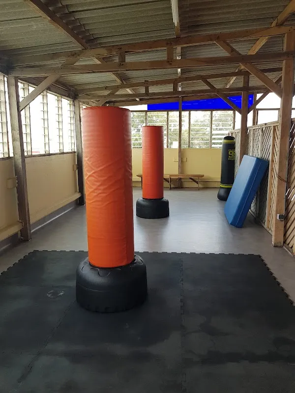 Wellness Fitness Club