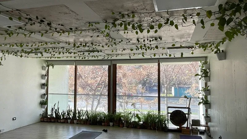 Mandala Chile Yoga