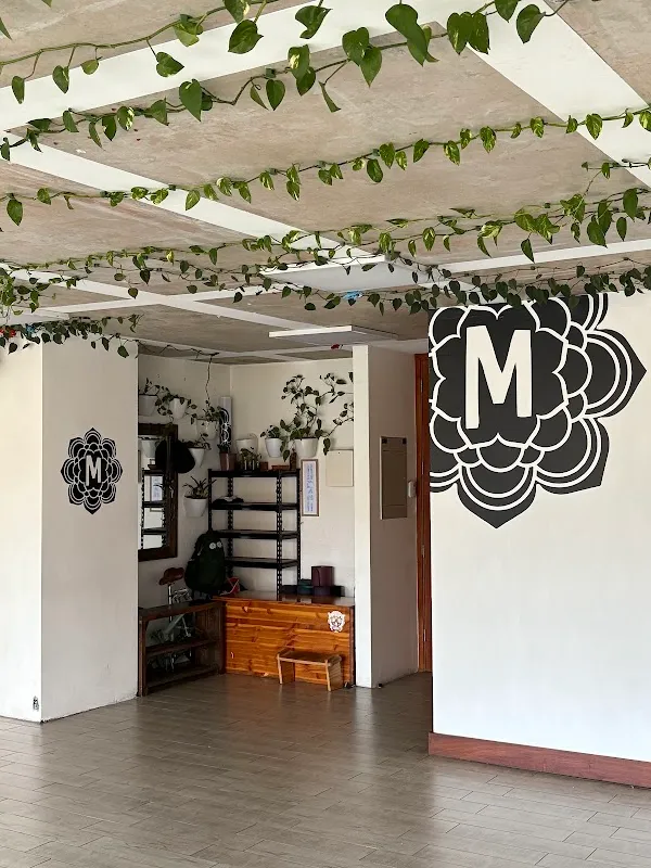 Mandala Chile Yoga