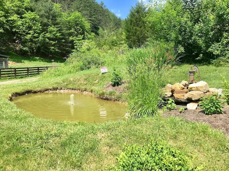 POMONA Salt Cave and Spa