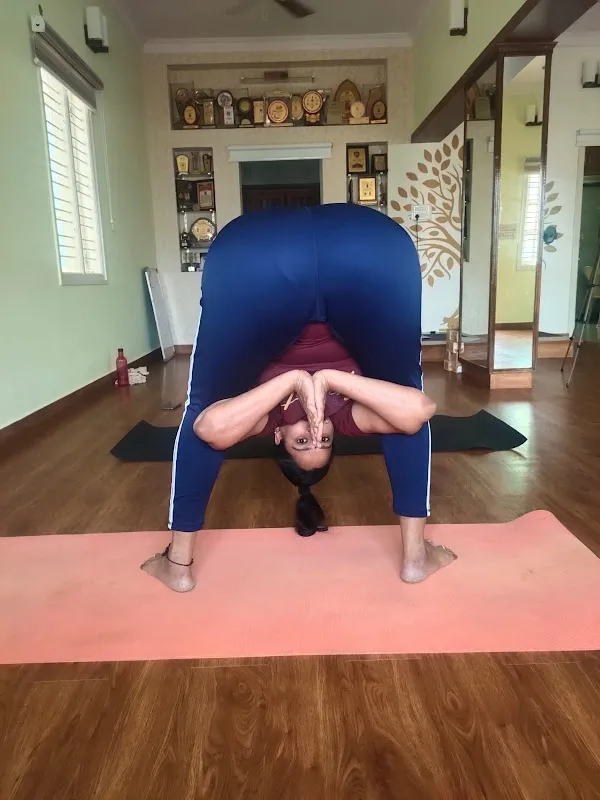 Akshobhya Foundation - Meditating, Yoga & Therapy Centre