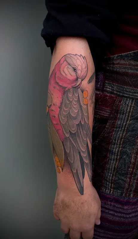 Newtown Art Studio - Geelong Tattoo Studio