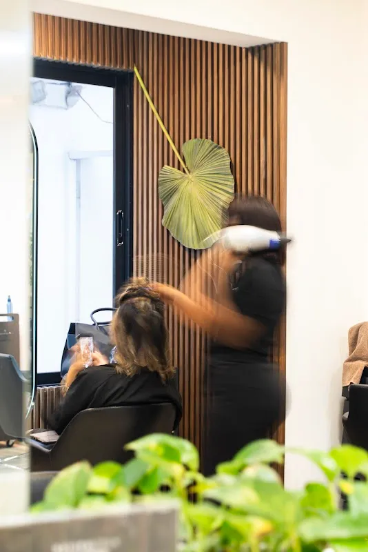 Reverse Hairspa