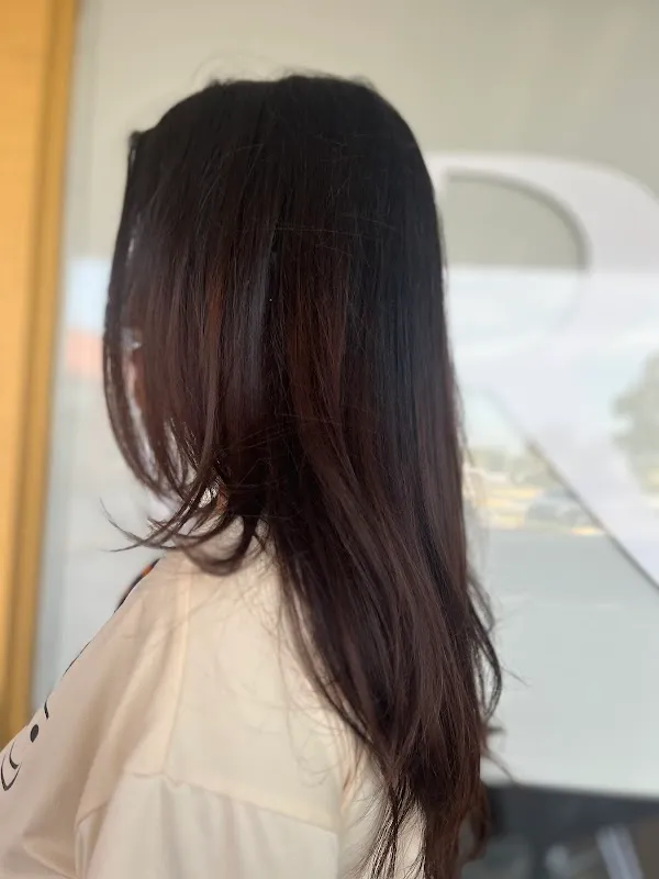 Shear Rituals Salon and Beauty Bar