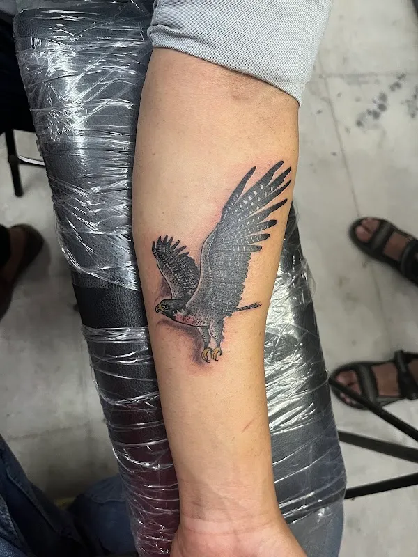 Art Core Jaipur Dracula Tattooz Studio