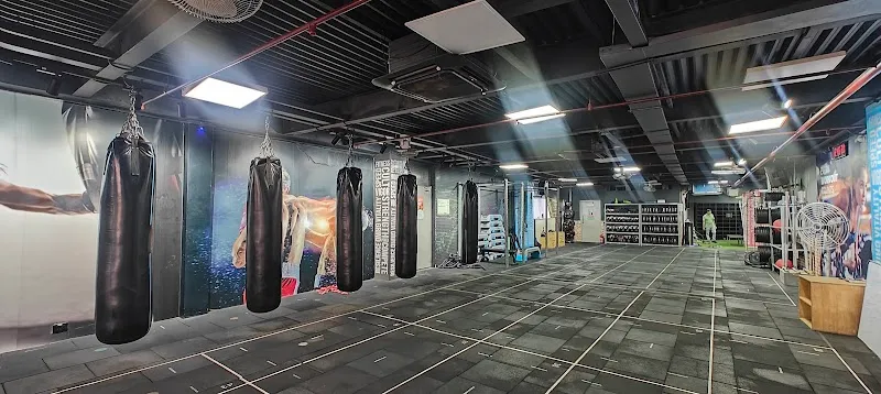 Wynn fitness