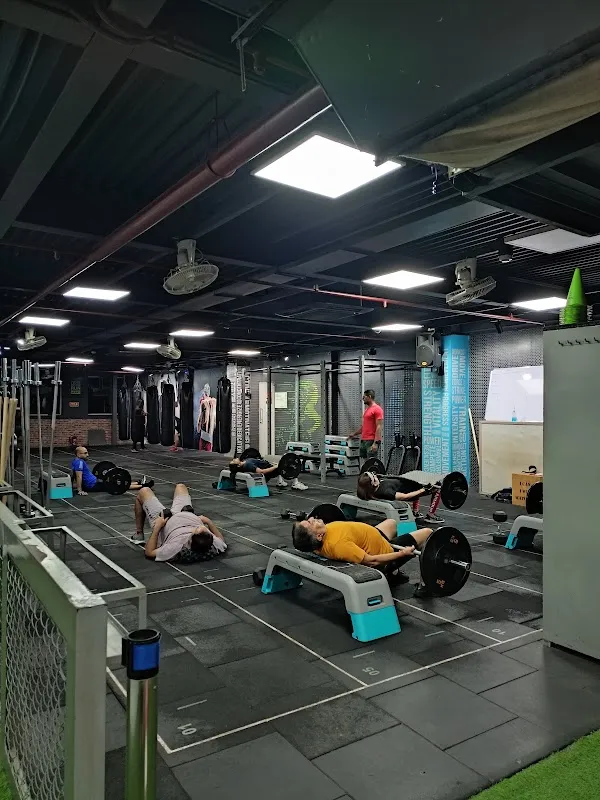 Wynn fitness