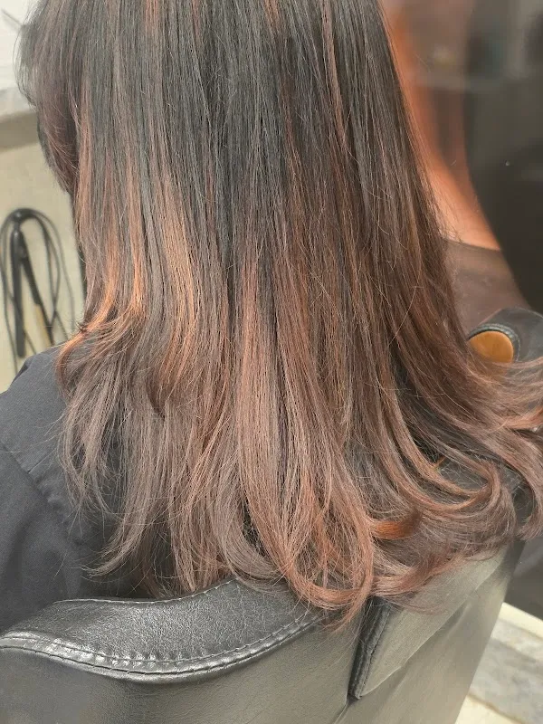Romeo & Juliet unisex salon